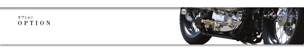 head_option.psd