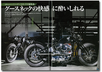 sportster_b.jpg